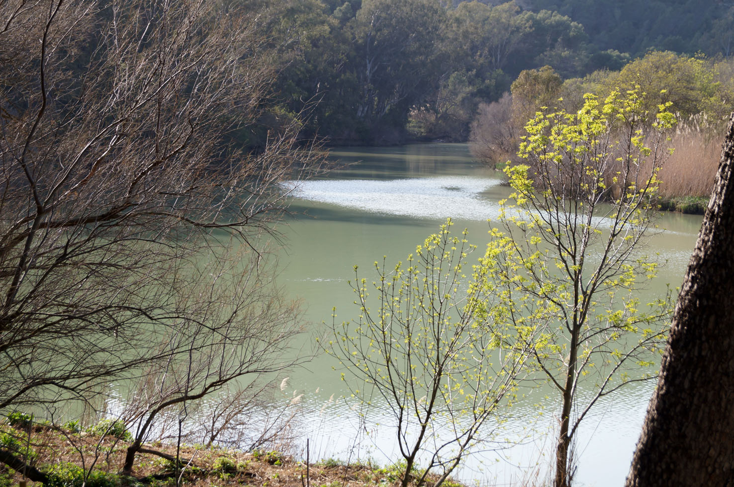 Rio Guadalhorce