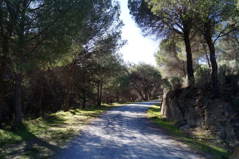 La IV Carrera Gran Senda de Málaga tendrá lugar el 15 de abril