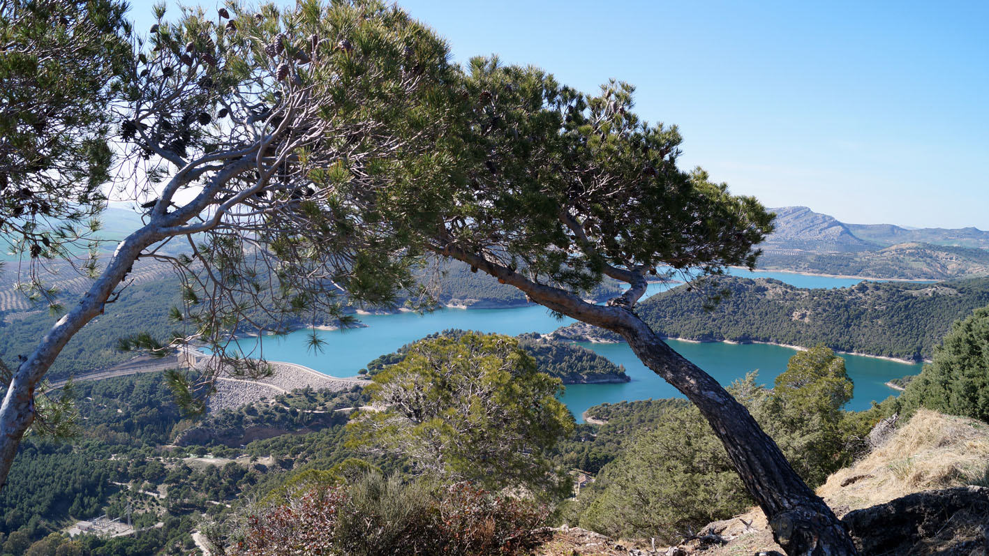 El entorno que rodea nuestro hotel ofrece espectaculares vistas.