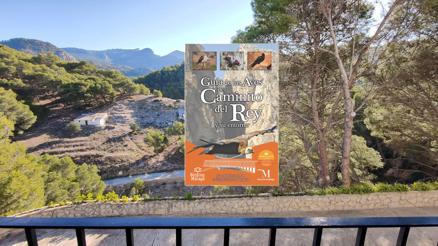 Gracias a esta guí­a podremos descubrir todas las aves que habitan en el entorno de El Caminito del Rey.