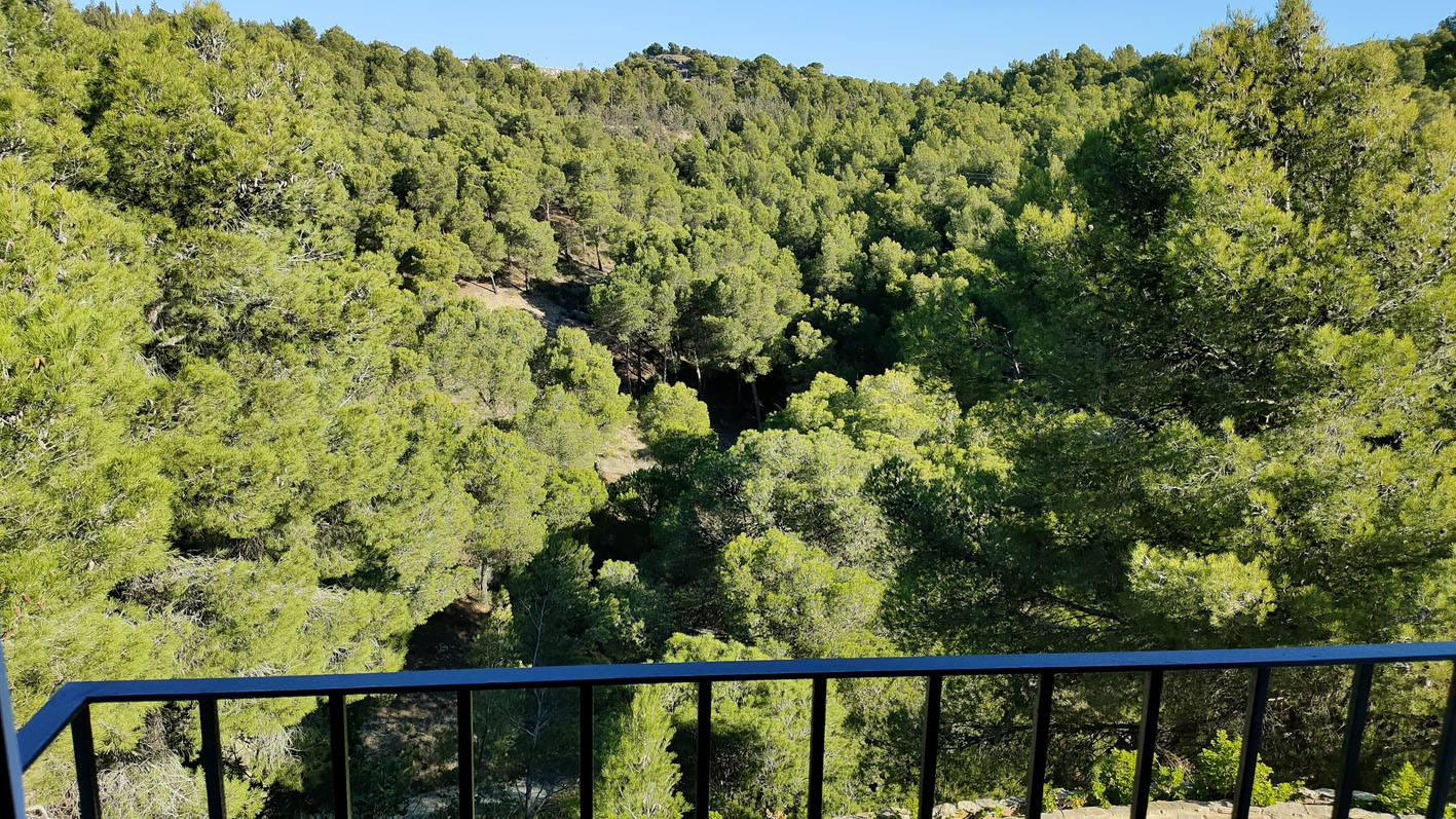 Vista del entorno que rodea el Hotel desde una de las habitaciones.